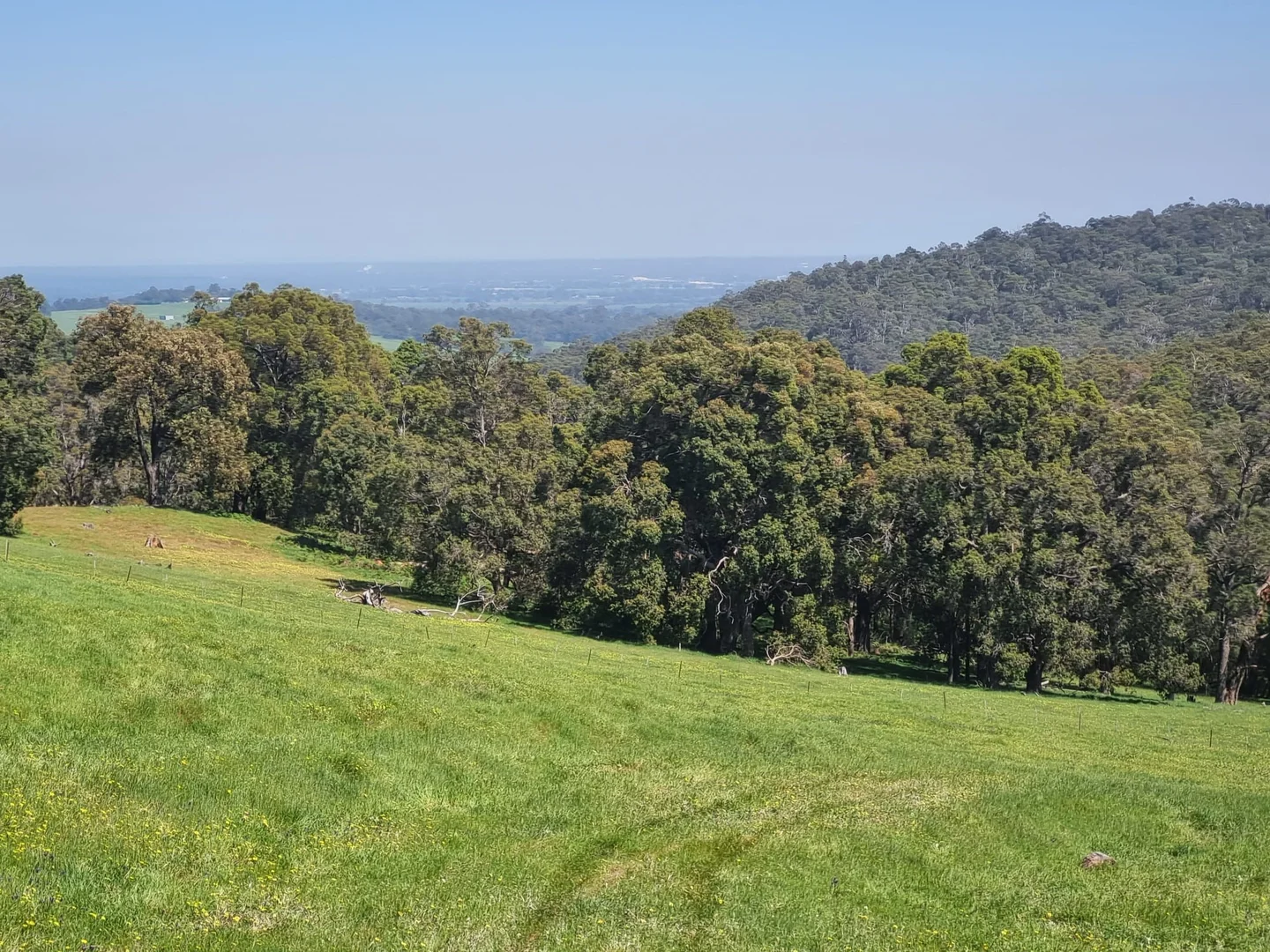 Additional image 8 of Lot 8 Catalano Road, Burekup WA 6227