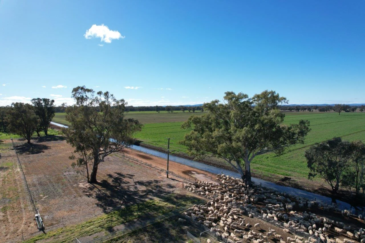 Additional image 17 of 8065 Lachlan Valley Way, Forbes NSW 2871