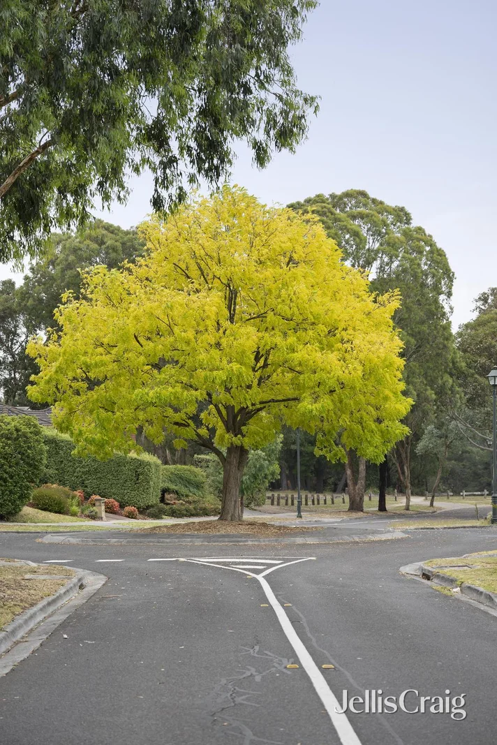 Additional image 23 of 2 Wonuka Court, Croydon Hills VIC 3136