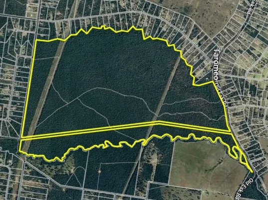 Additional image 33 of 151 Cameron Road, Taromeo QLD 4314