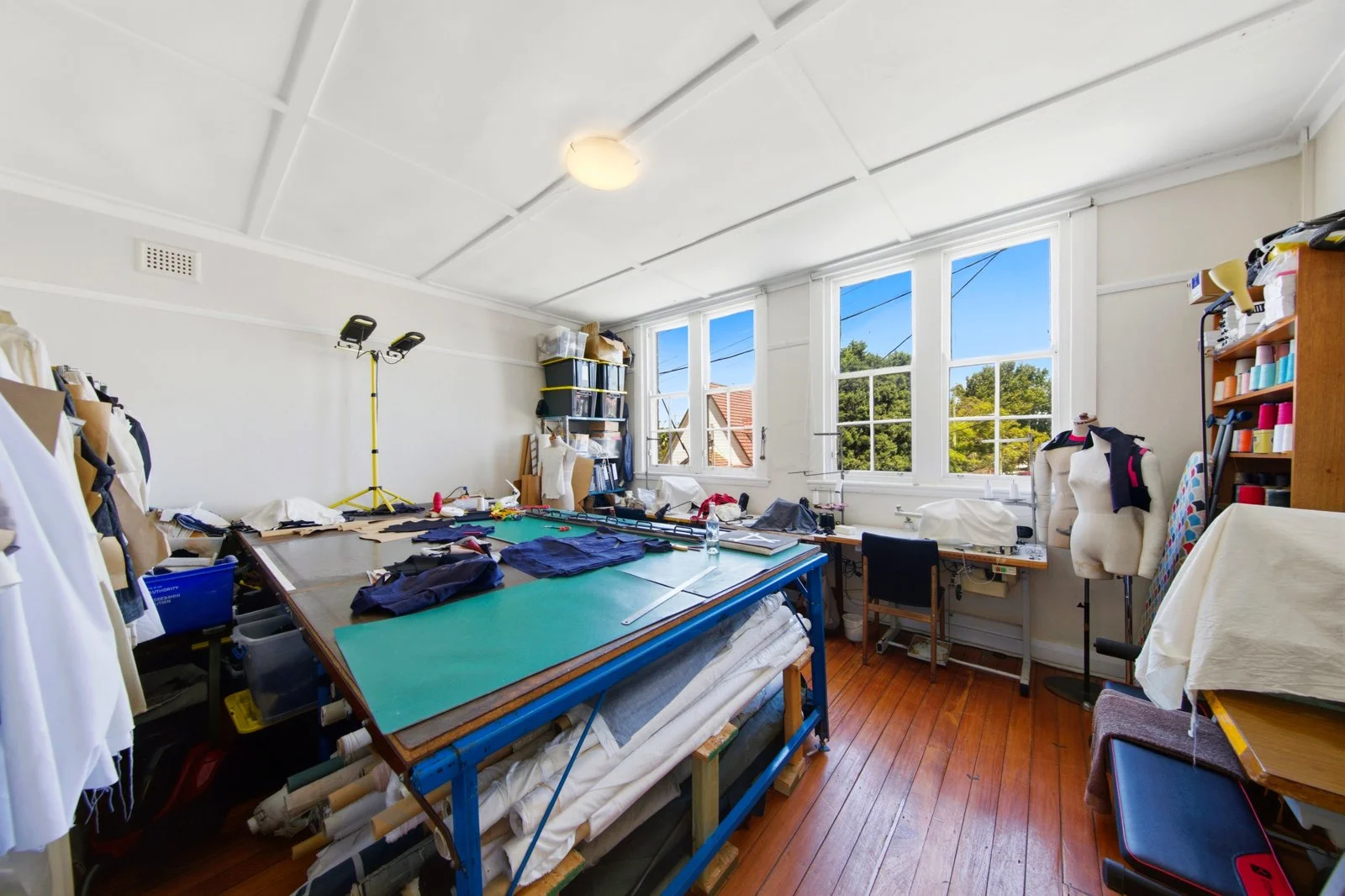 Additional image 16 of 65 Waratah Street, Haberfield NSW 2045