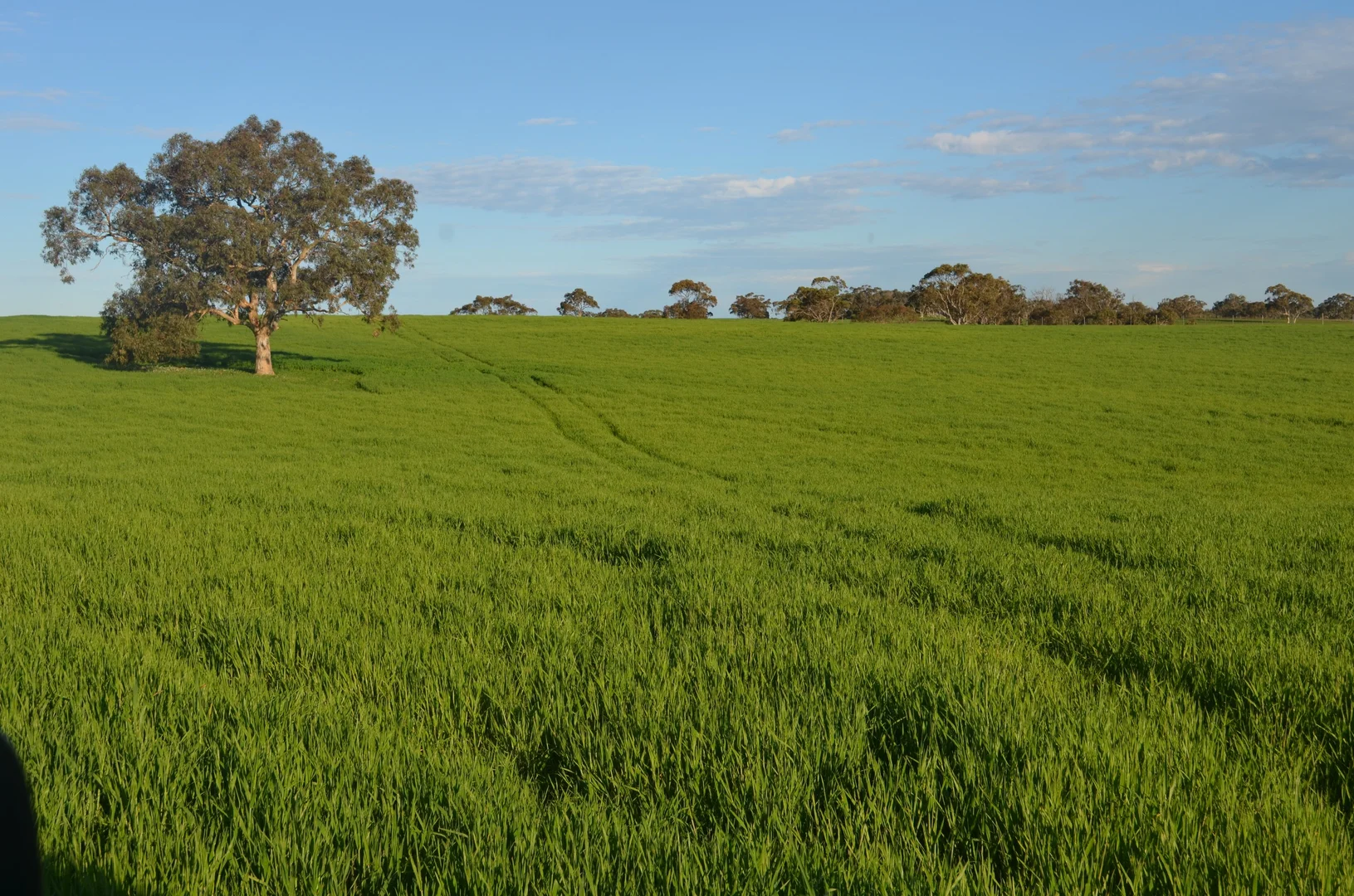 Additional image 6 of Lot 296 Beggs Road, Avenue Range SA 5273