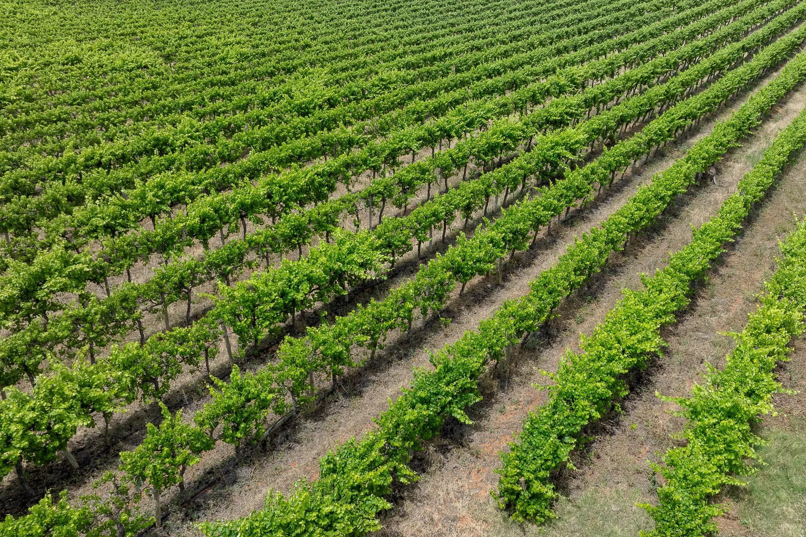 Additional image 9 of 1248 Hodges Road, Glossop SA 5344