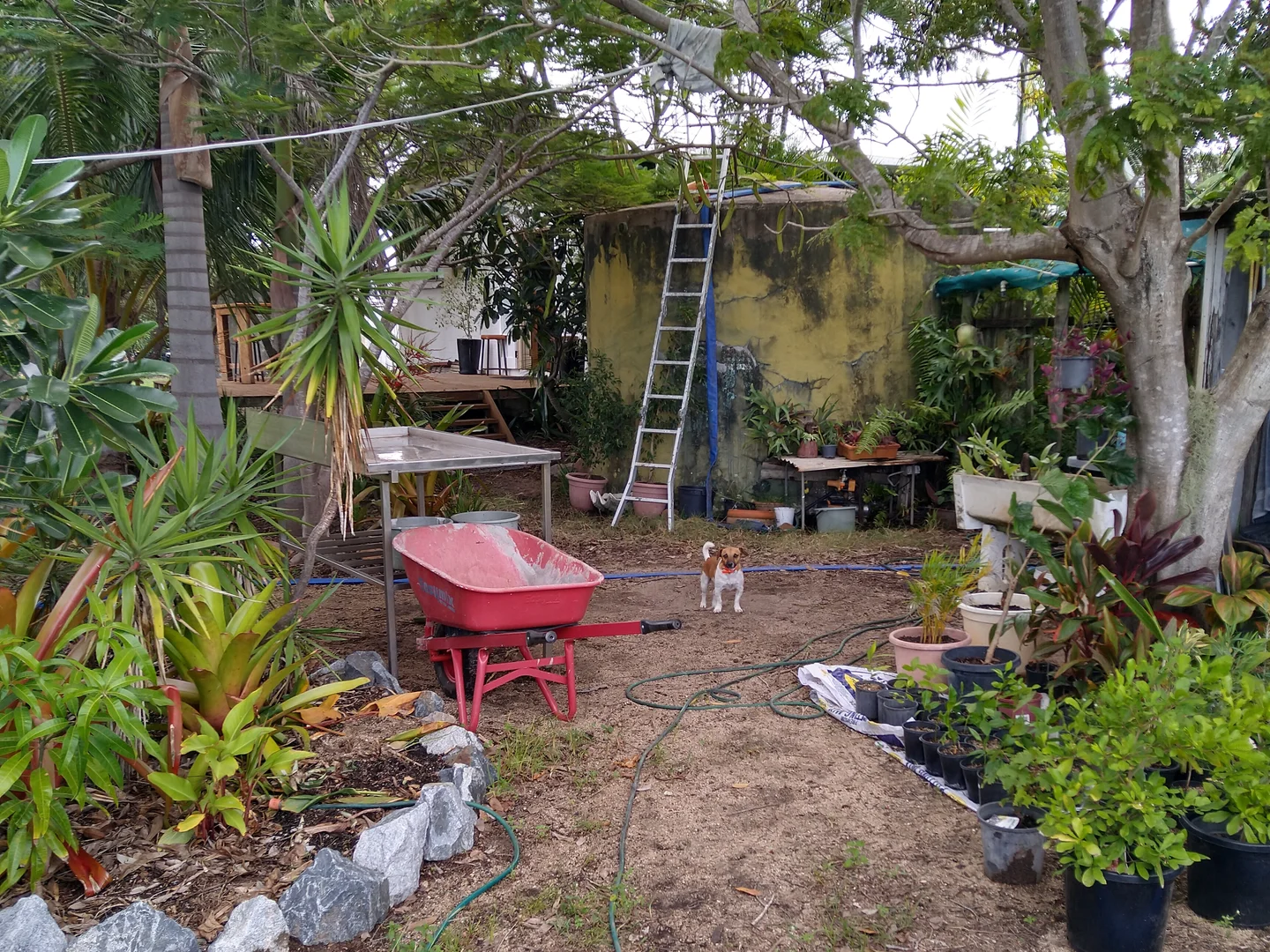 Additional image 26 of 697 Bootooloo Road, Bowen QLD 4805