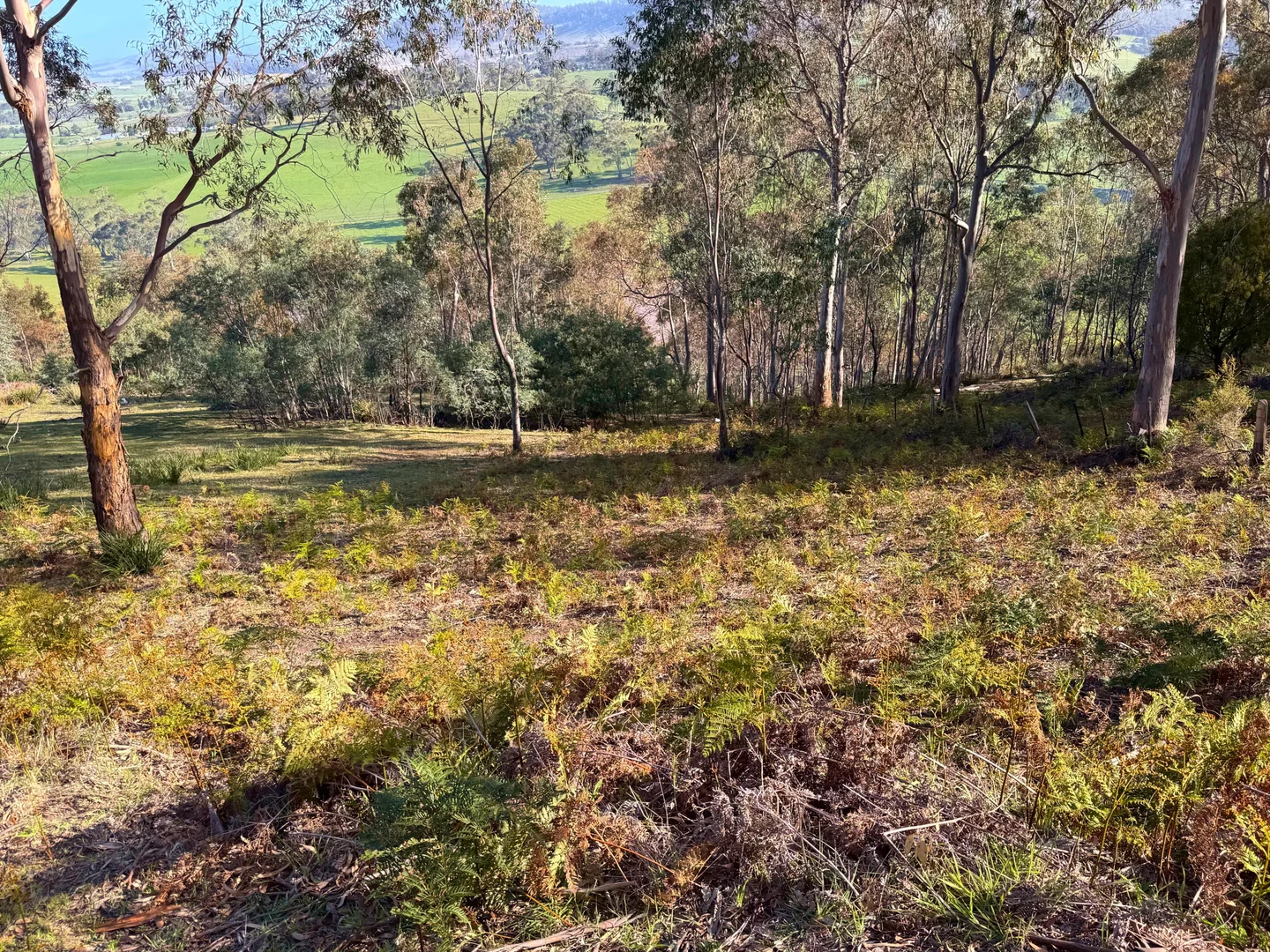 Additional image 12 of 26 Kandara Court, Campania TAS 7026