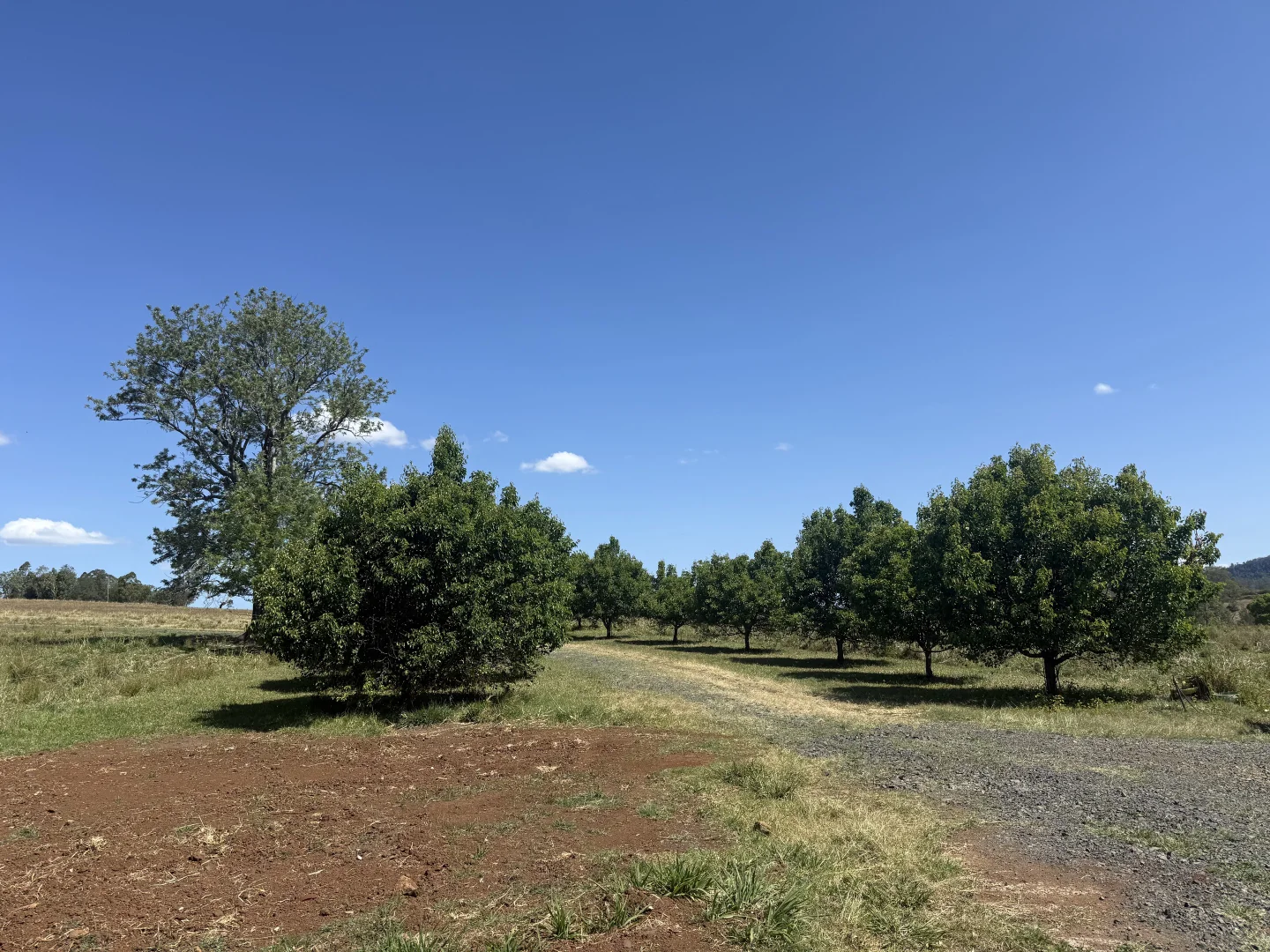 Additional image 28 of 1050 Afterlee Rd, Eden Creek NSW 2474