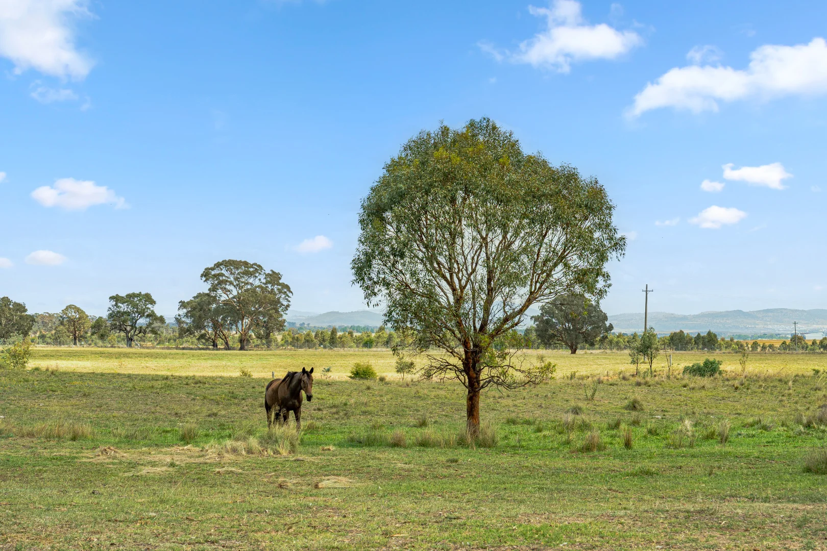 Additional image 93 of 14 Avonley Road, Majura ACT 2609