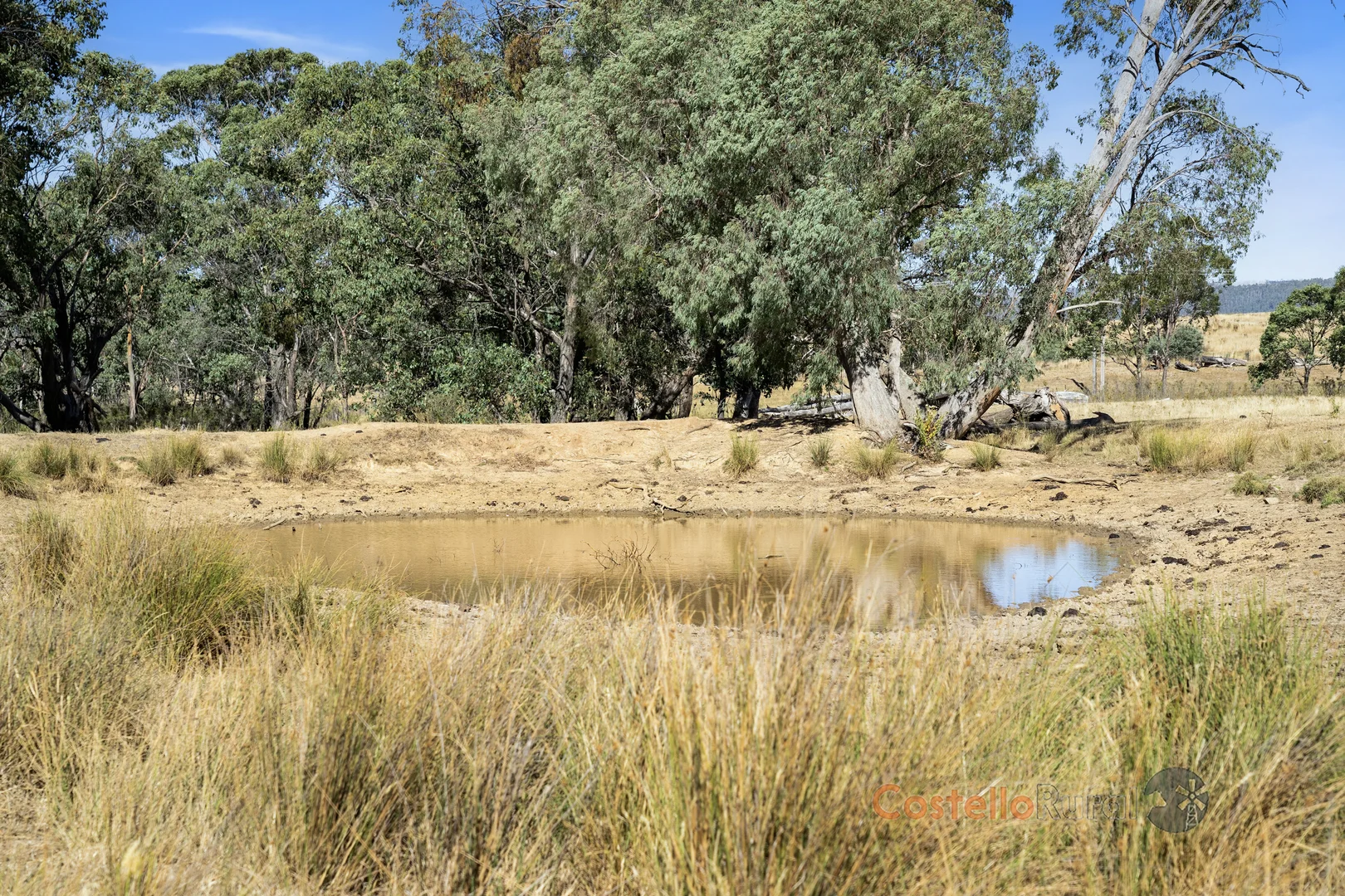 Additional image 11 of 195 Willigobung Road, Willigobung NSW 2653