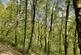Additional image 12 of Waungilwen, Drefach-Velindre SA44