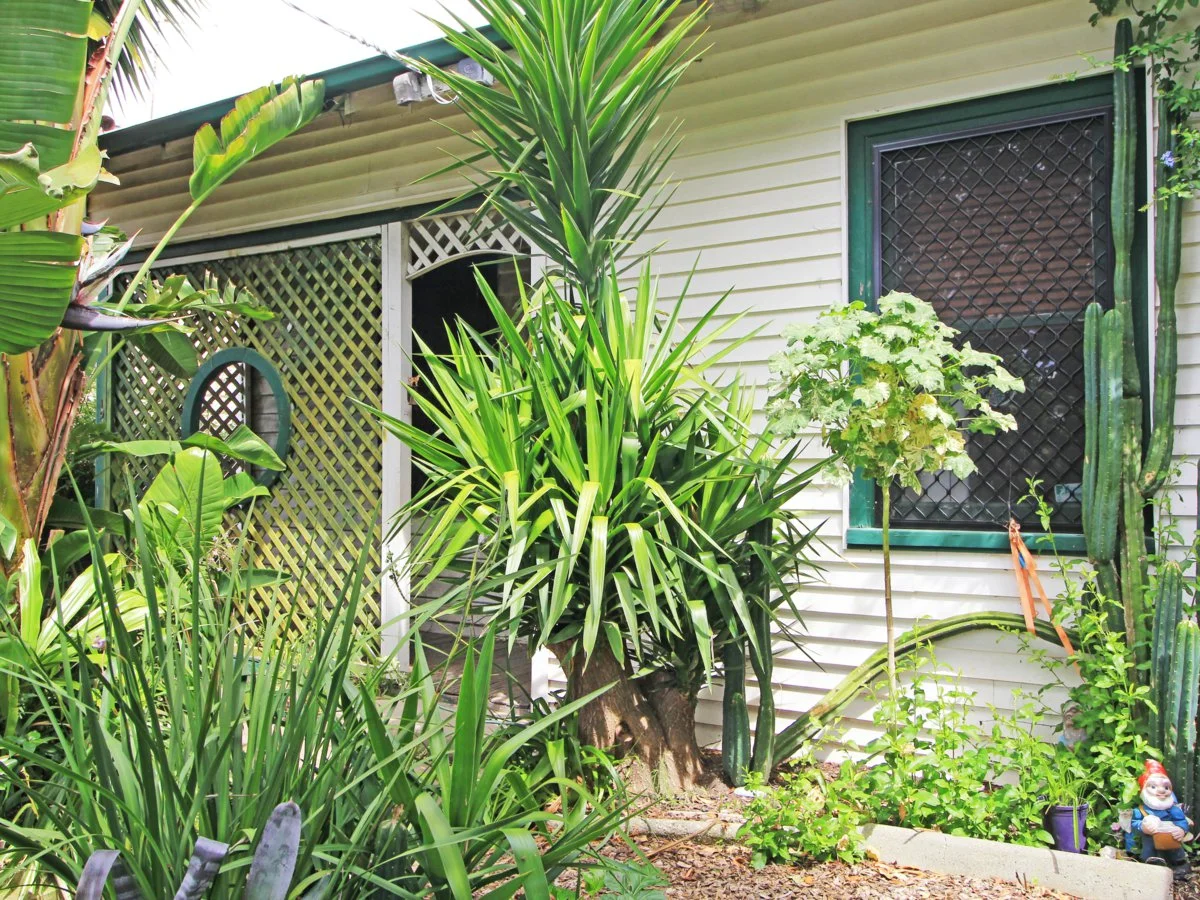 195 Nicholson Street, Bairnsdale VIC 3875
