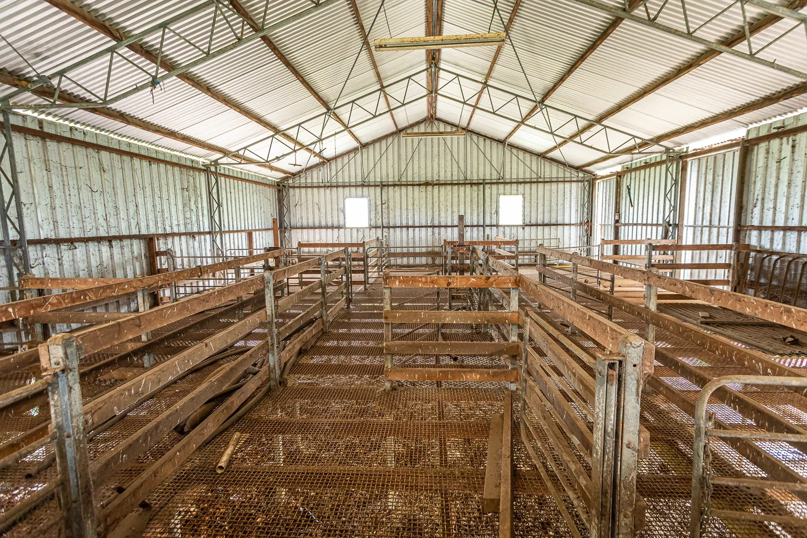Additional image 19 of 520 Walkington Hills Road, Bangham SA 5268