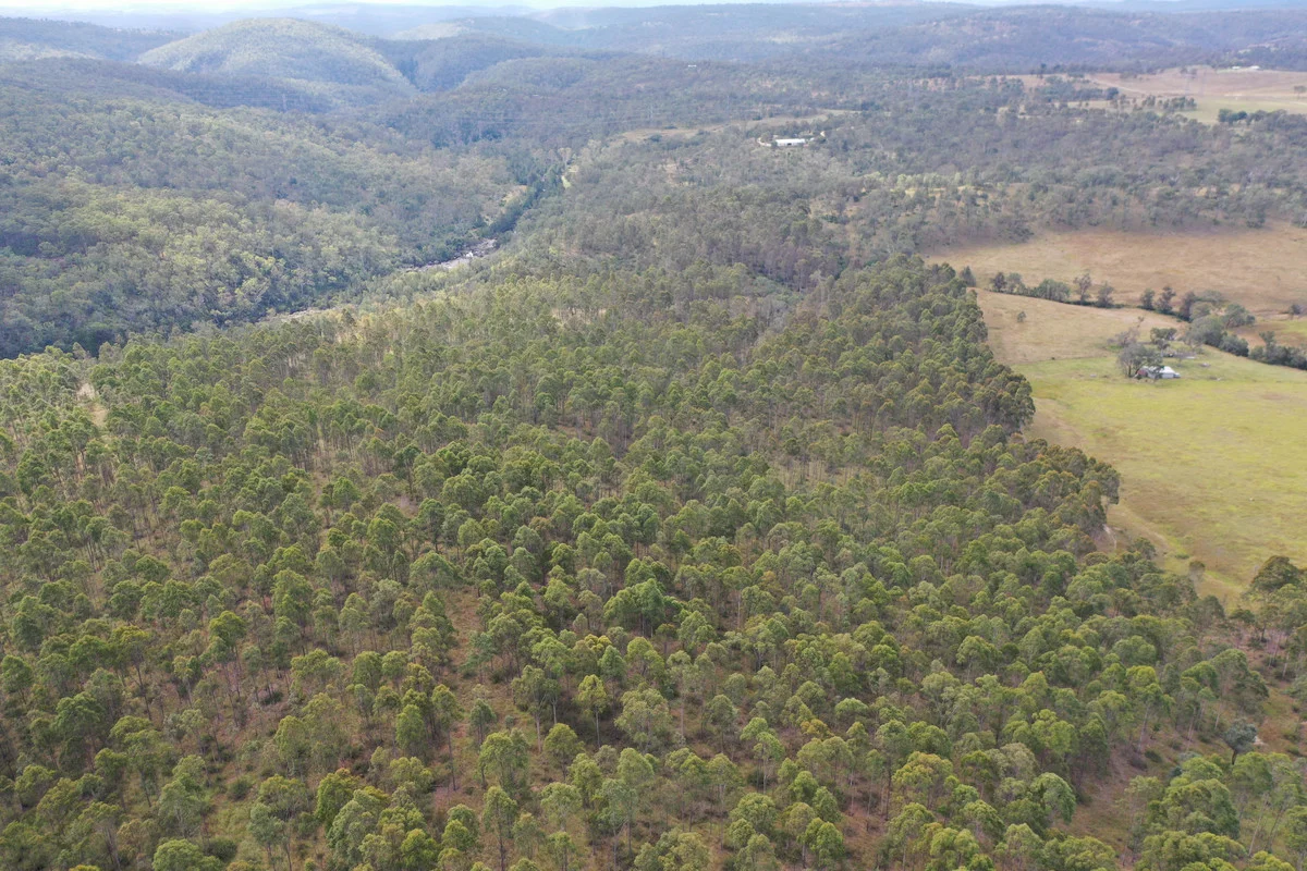 Additional image 19 of 2 Ulampa Creek Road, Nukku QLD 4314