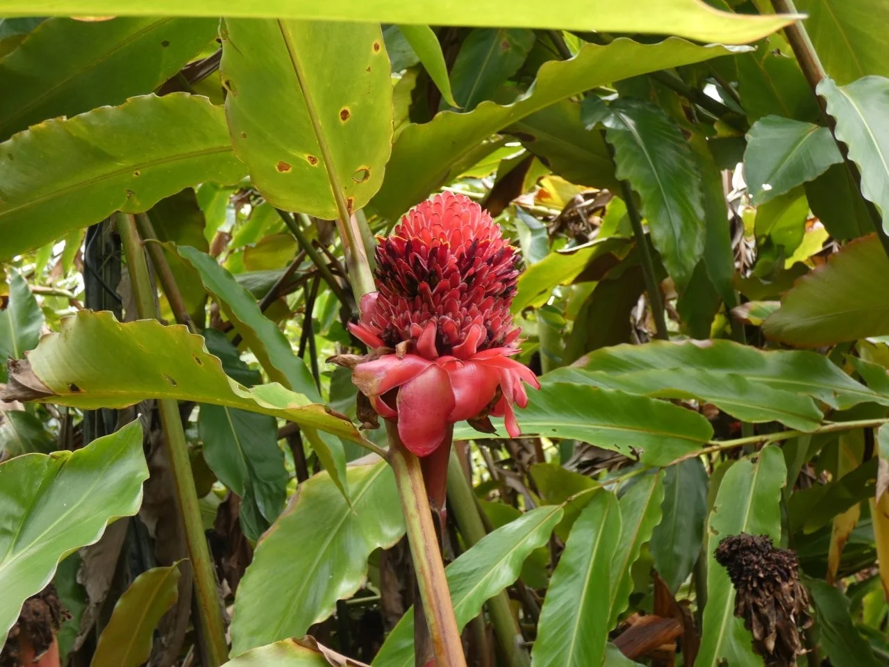 Additional image 3 of Lambells Lagoon NT 0822