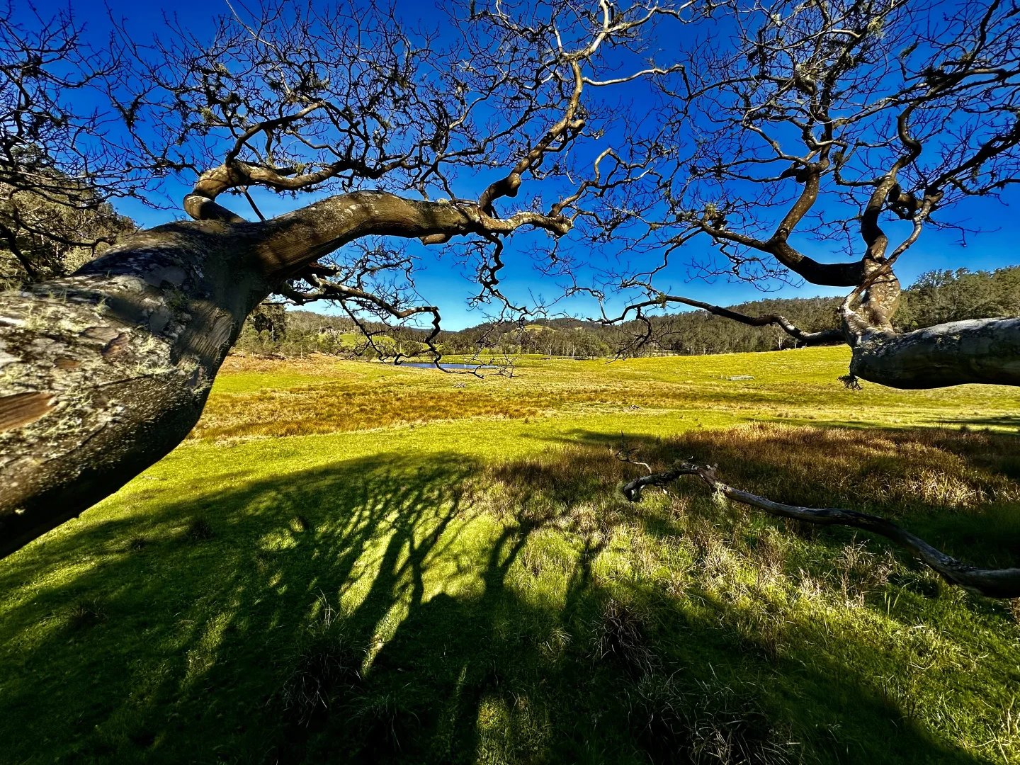 Additional image 12 of 3300 Great North Road, Wollombi NSW 2325