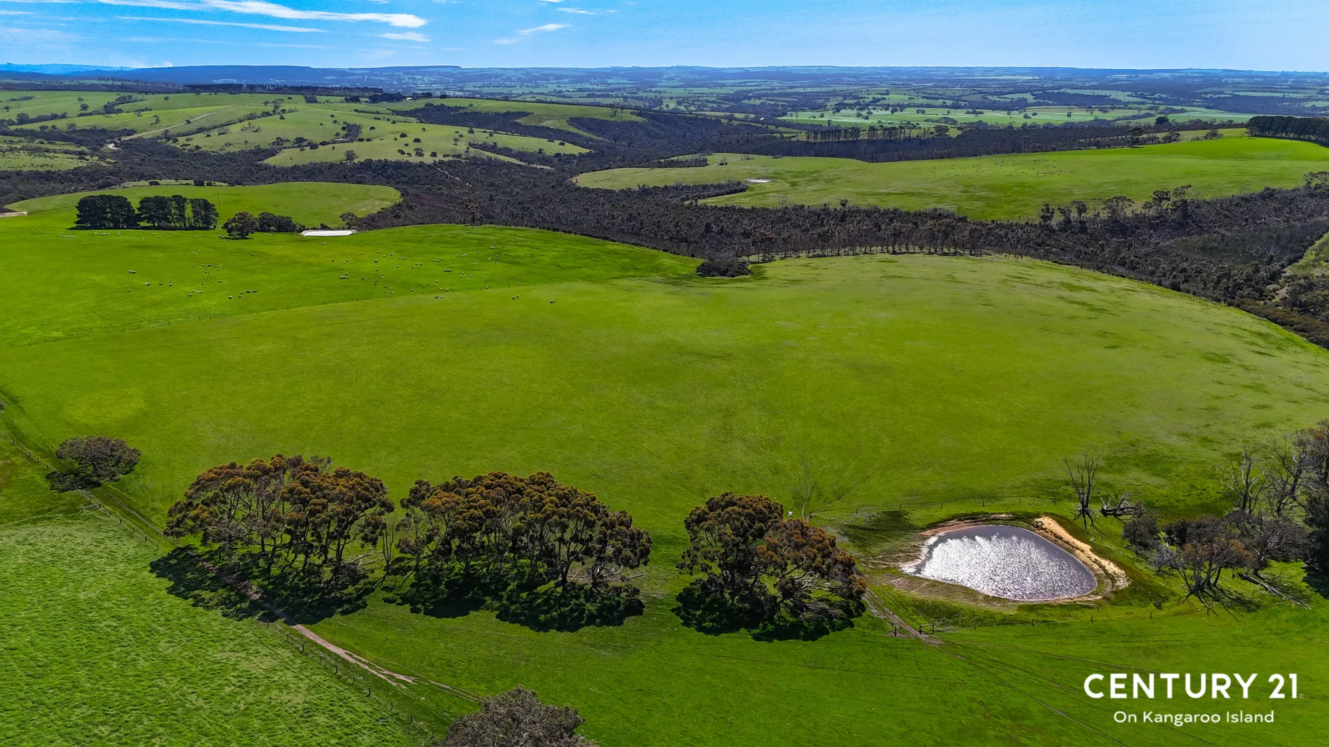 Additional image 7 of 2265 Playford Highway, Kohinoor SA 5223