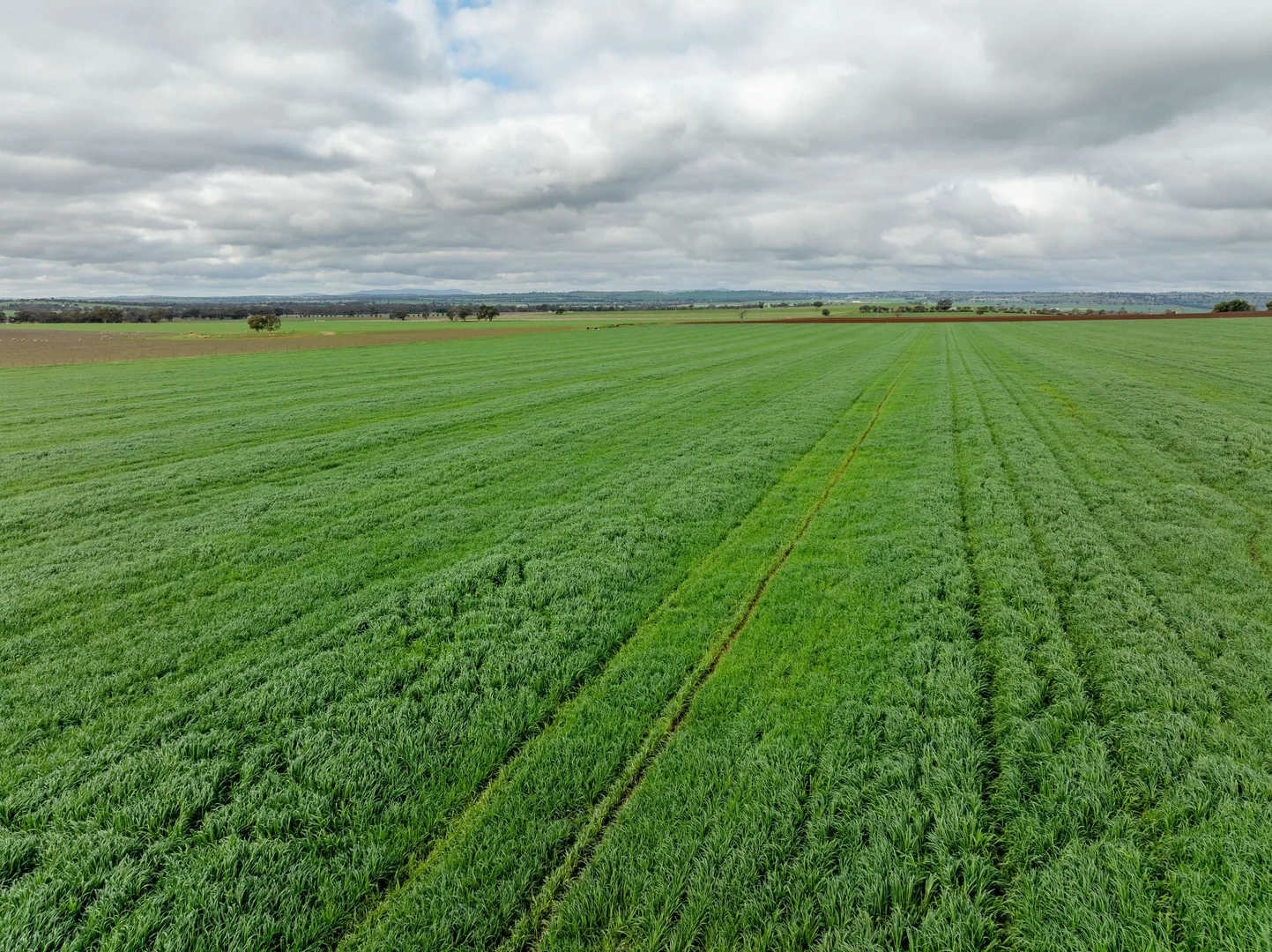 Additional image 10 of 79 Goldfields Way Old Junee Via, Wagga Wagga NSW 2650