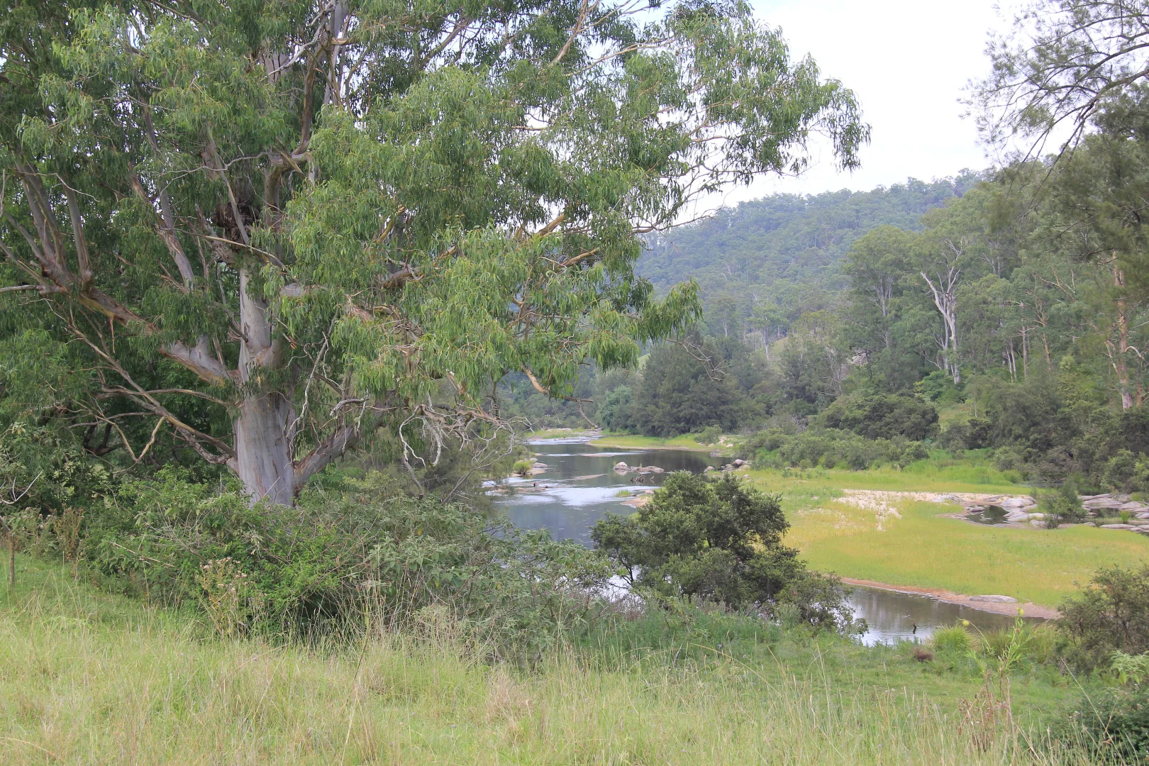 Additional image 4 of 1272 Rocky River Road, Tenterfield NSW 2372