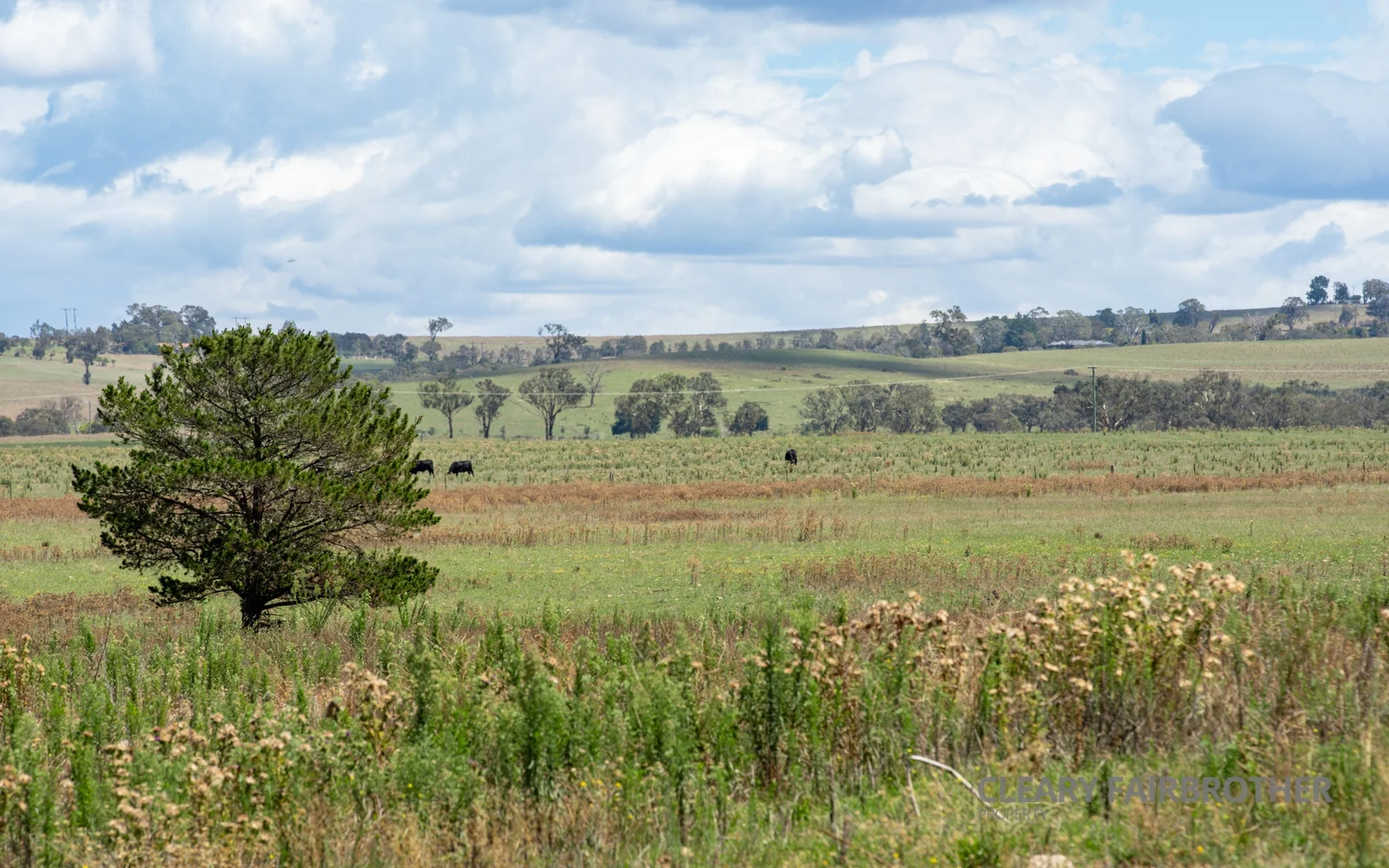 Additional image 20 of 5 Jardine Drive, Eglinton NSW 2795