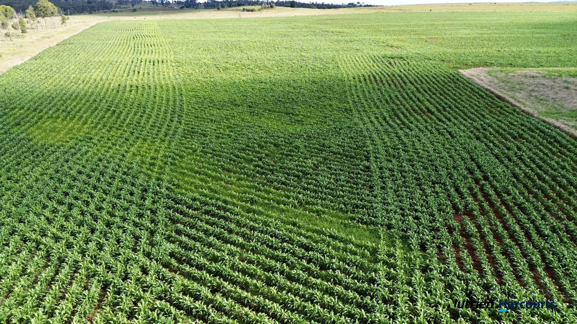 Additional image 3 of Lot 2 Reedy Creek Road, Benair QLD 4610