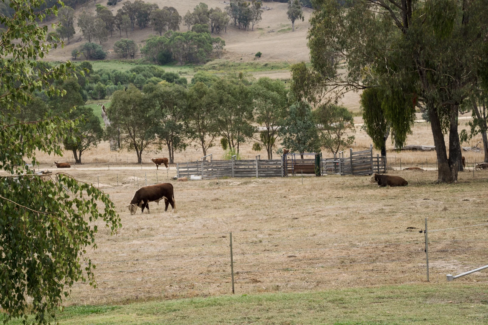 Additional image 34 of 45 Settlers Lane, Myrtleford VIC 3737