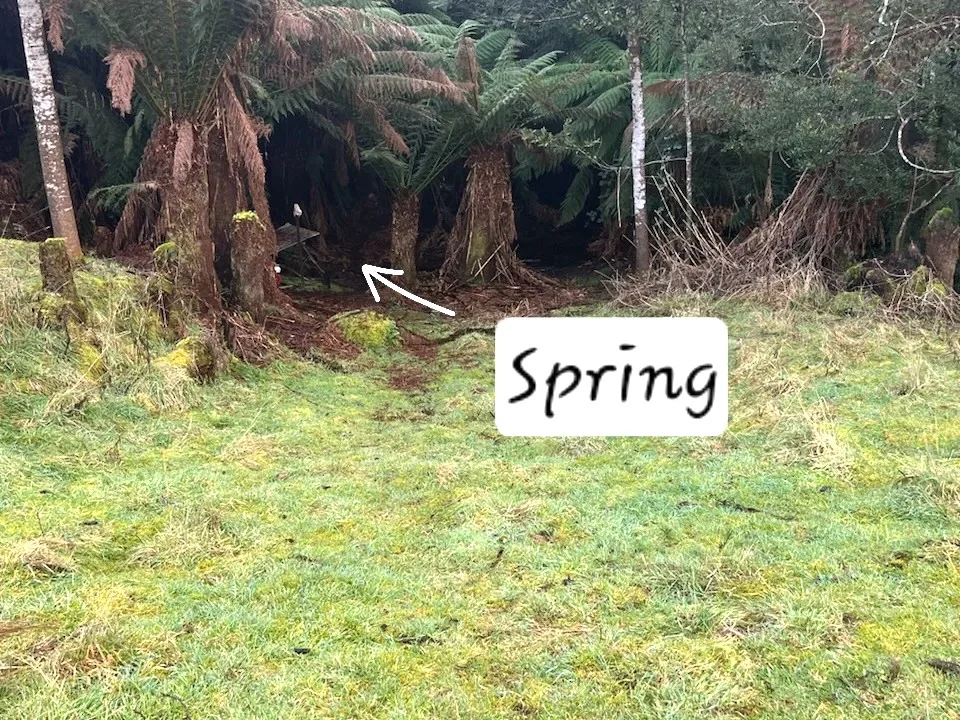 Additional image 11 of 12384 Murchison Highway, Rosebery TAS 7470