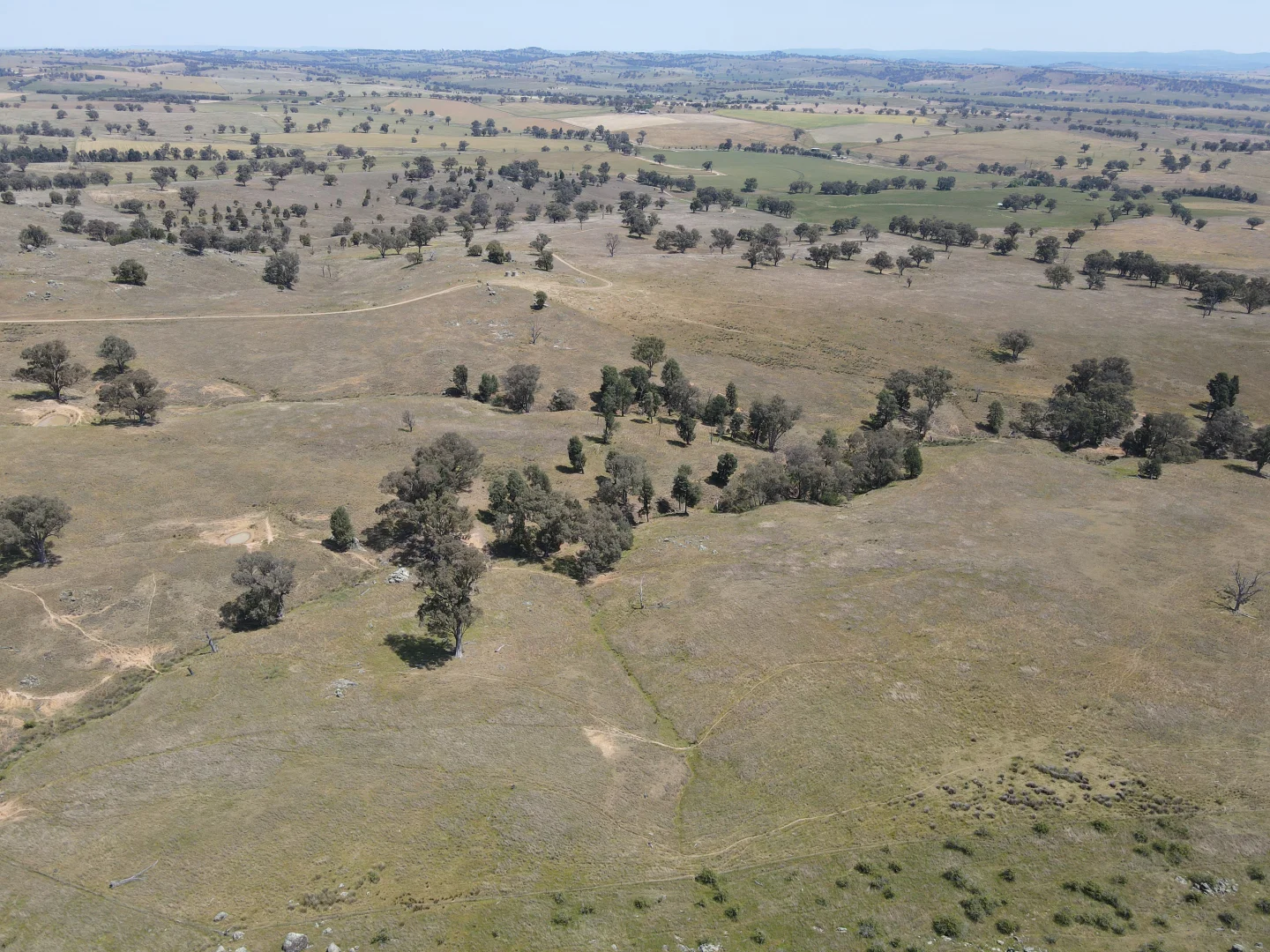 Additional image 9 of 250 Emu Creek Road, Canowindra NSW 2804