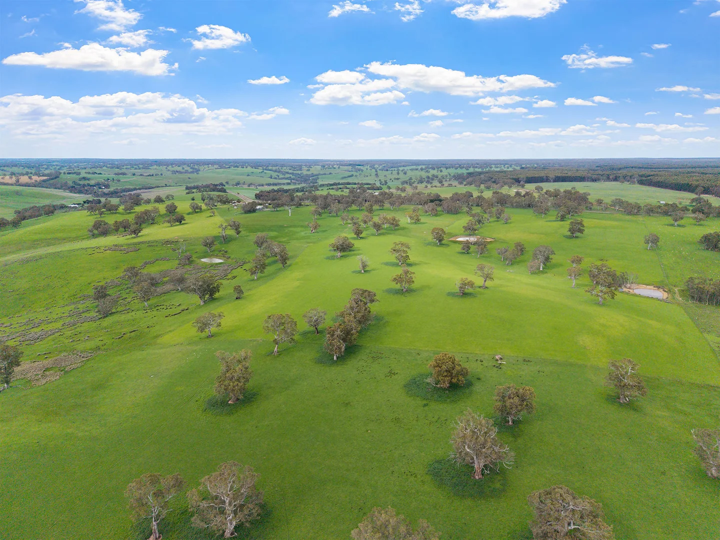 Additional image 22 of 3786 Casterton Edenhope Road, Chetwynd VIC 3312