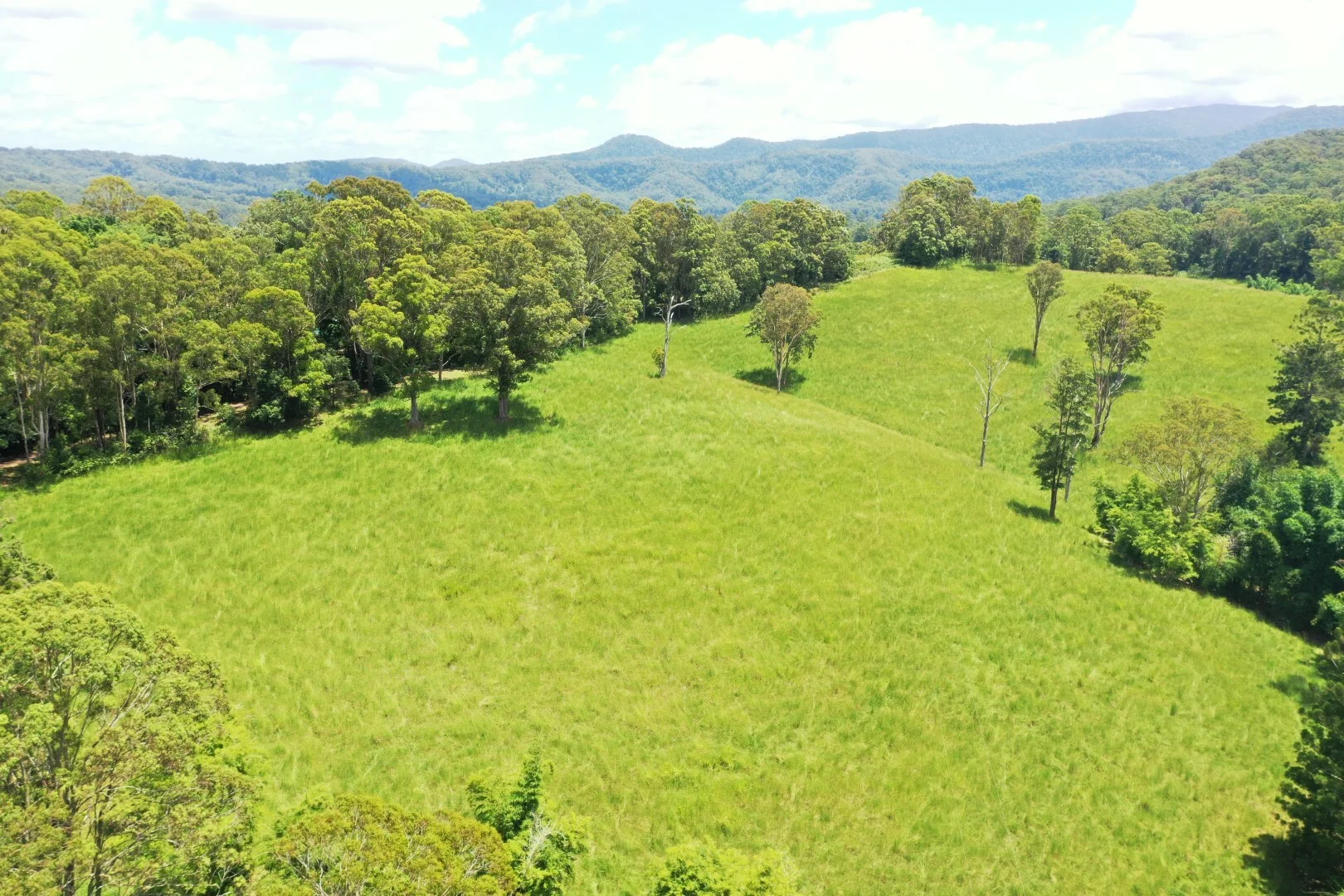 Additional image 8 of 66 Old Tweed Road, Wadeville NSW 2474