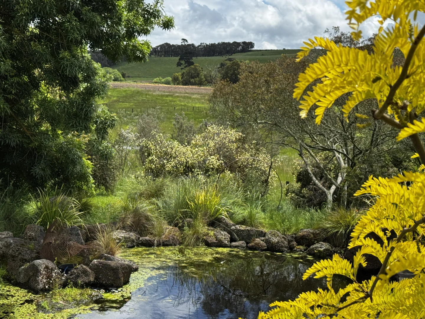 Additional image 21 of 1409 Birregurra Deans Marsh Road, Deans Marsh VIC 3235