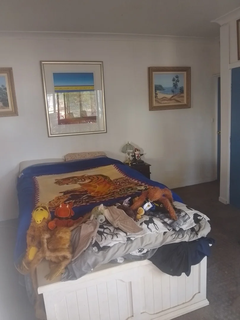 Additional image 11 of #249 Machaness Road, Tara QLD 4421