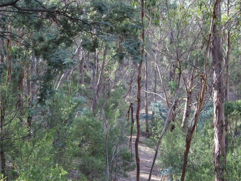 Additional image 19 of Lot 2 Granton Heights Road, Granton TAS 7030