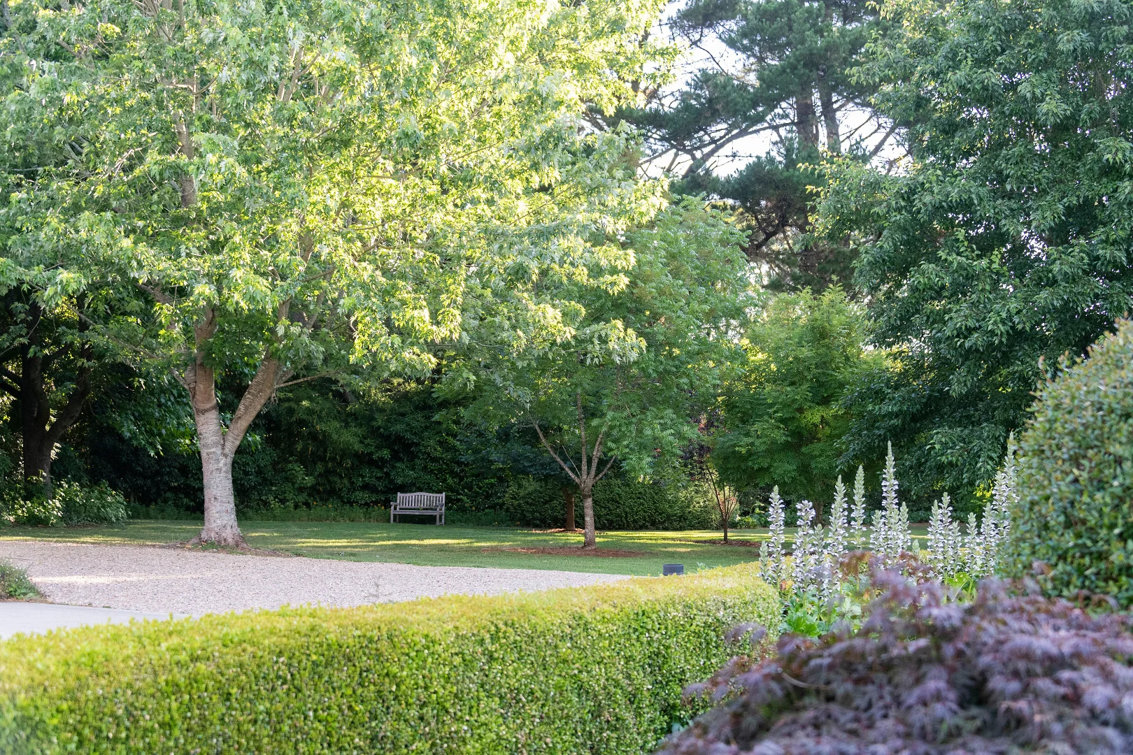 Additional image 28 of 192 Pearsons Lane, Robertson NSW 2577