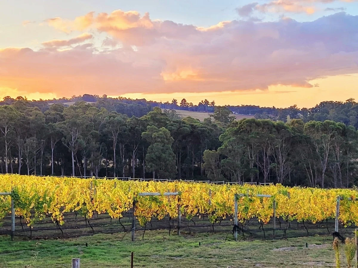 Additional image 31 of 150 Hjorts Road, Loira TAS 7275