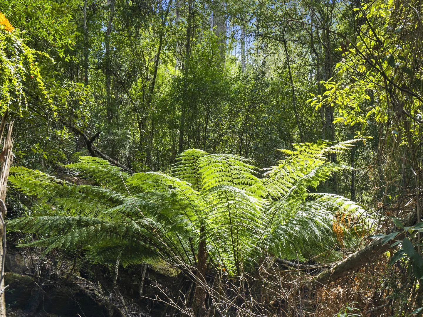 Additional image 26 of 321 Pirates Bay Drive, Eaglehawk Neck TAS 7179