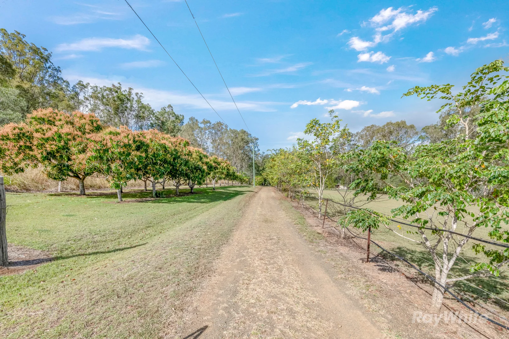 Additional image 25 of 285 Delan Road, Bullyard QLD 4671
