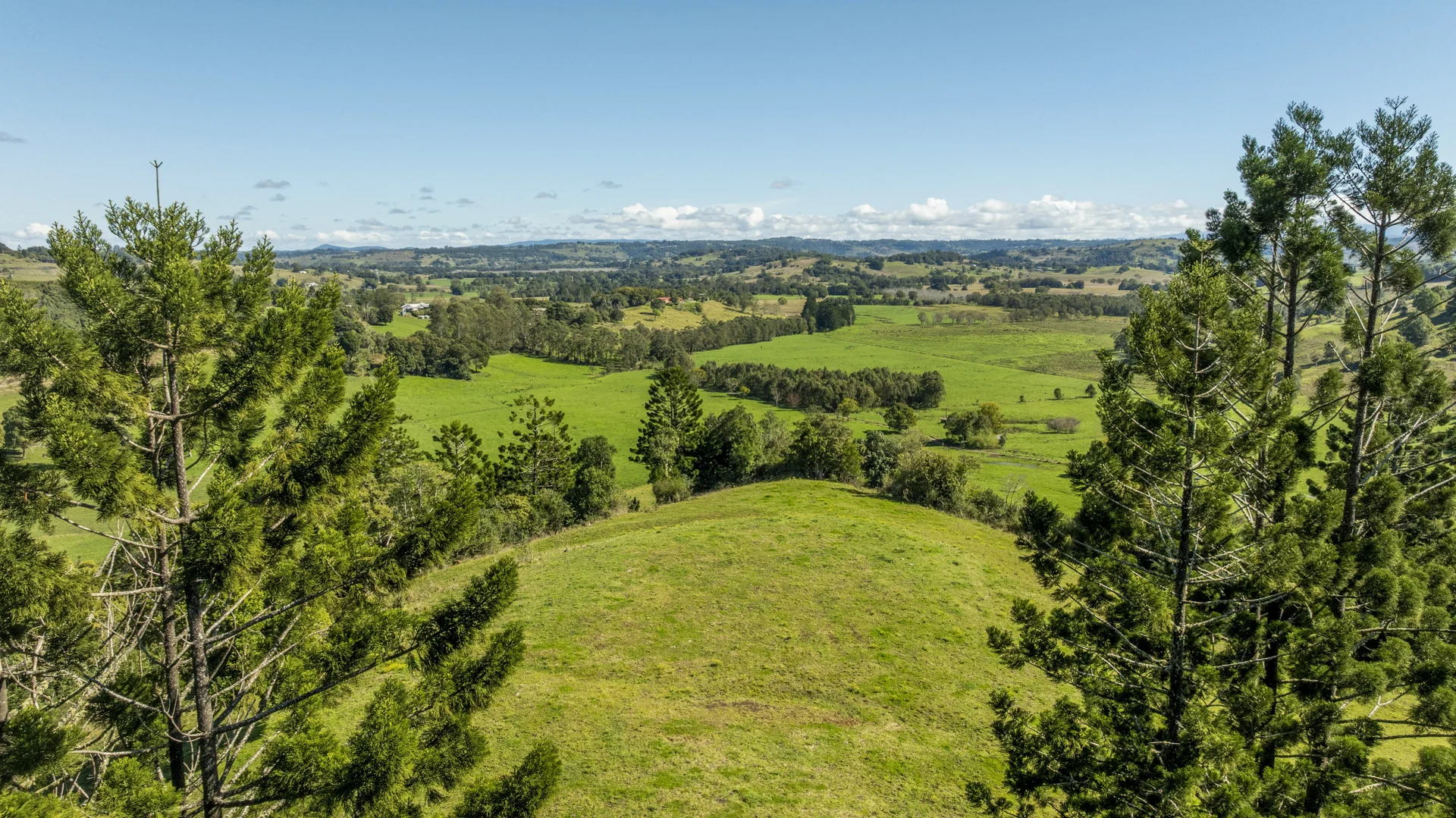 Additional image 17 of 27A Paradise Court, McLeans Ridges NSW 2480