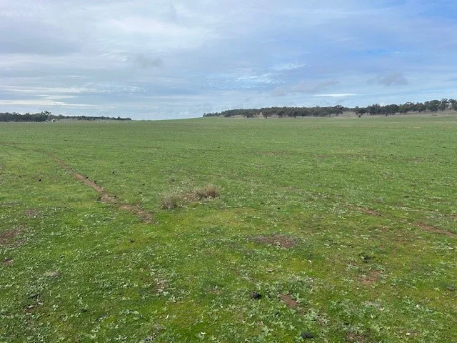 Additional image 4 of 418 Donaldsons Road, Corbie Hill NSW 2705