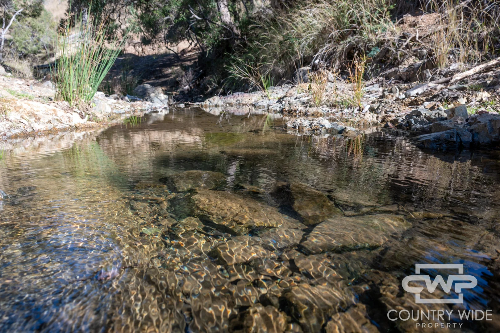 Additional image 8 of 12, 212 Mole Station Road, Tenterfield NSW 2372