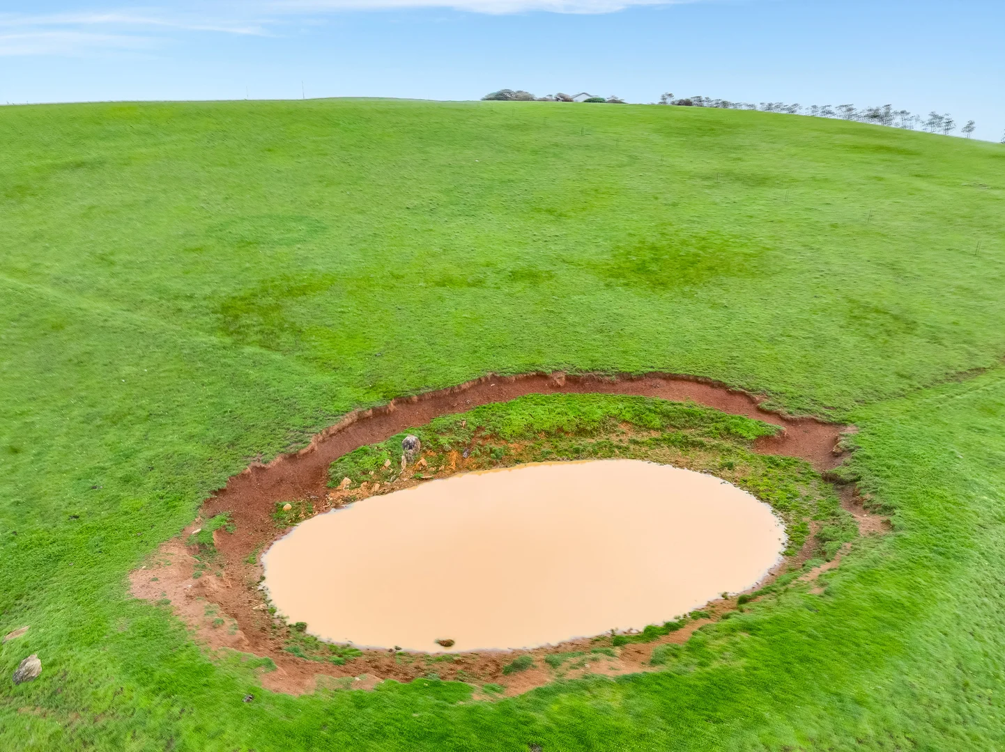 Additional image 37 of 8178 Main South Road, Delamere SA 5204