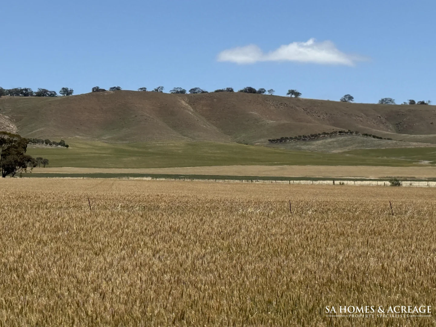 Additional image 12 of Section 407 & 408 Hills Road, Robertstown SA 5381