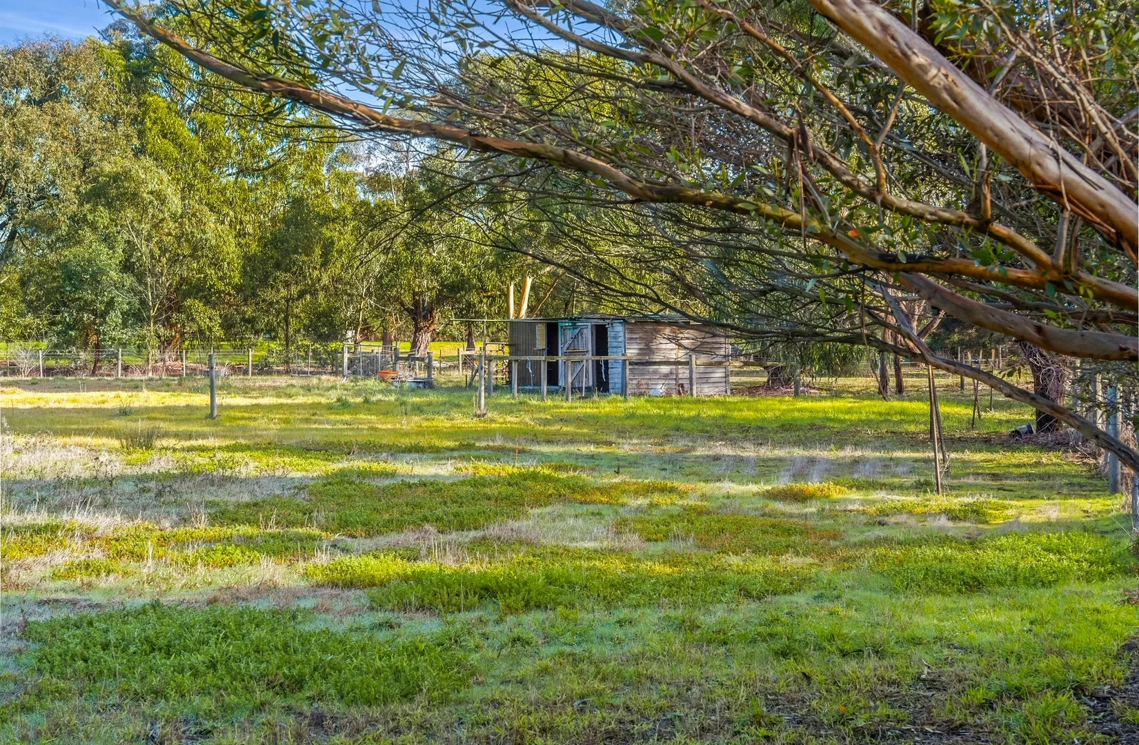 Additional image 5 of 1-5 Merino Court, Wallington VIC 3222