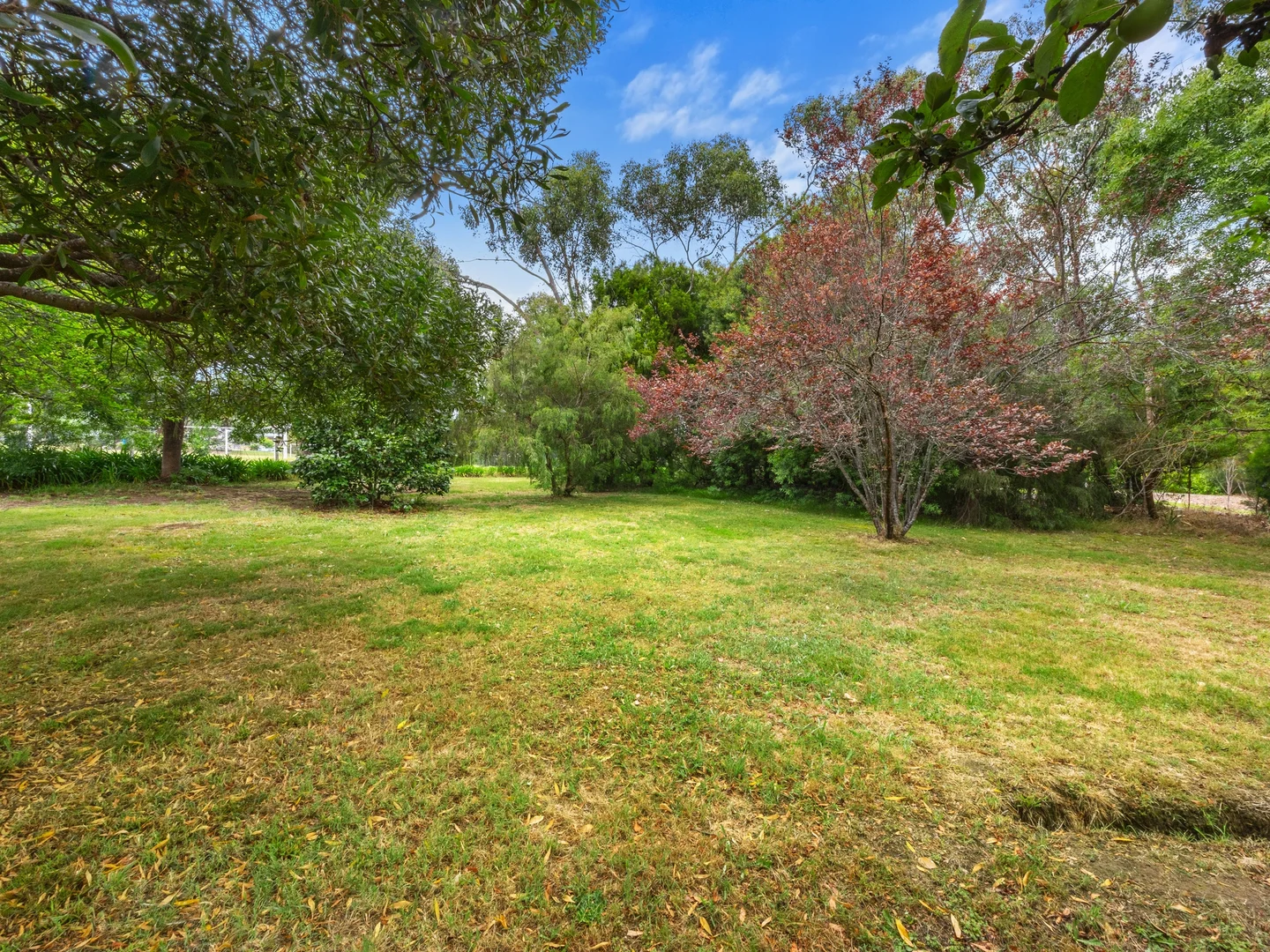 Additional image 12 of 2212 Maroondah Highway, Buxton VIC 3711