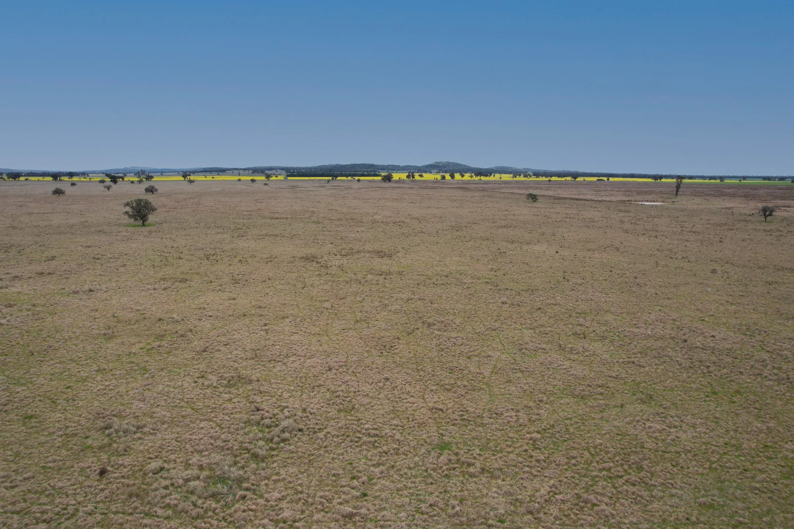 Additional image 3 of 'Weona' 307 Taylors Lane, Barmedman NSW 2668