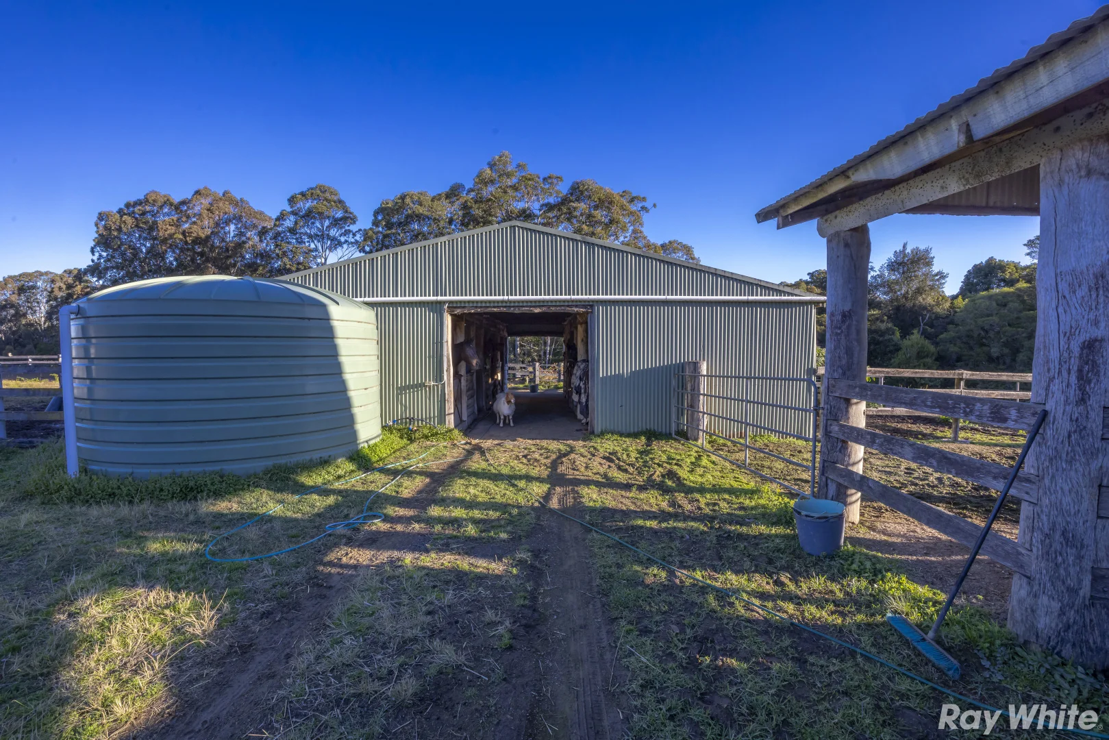 Additional image 18 of 48 Cusack Lane, Dyers Crossing NSW 2429