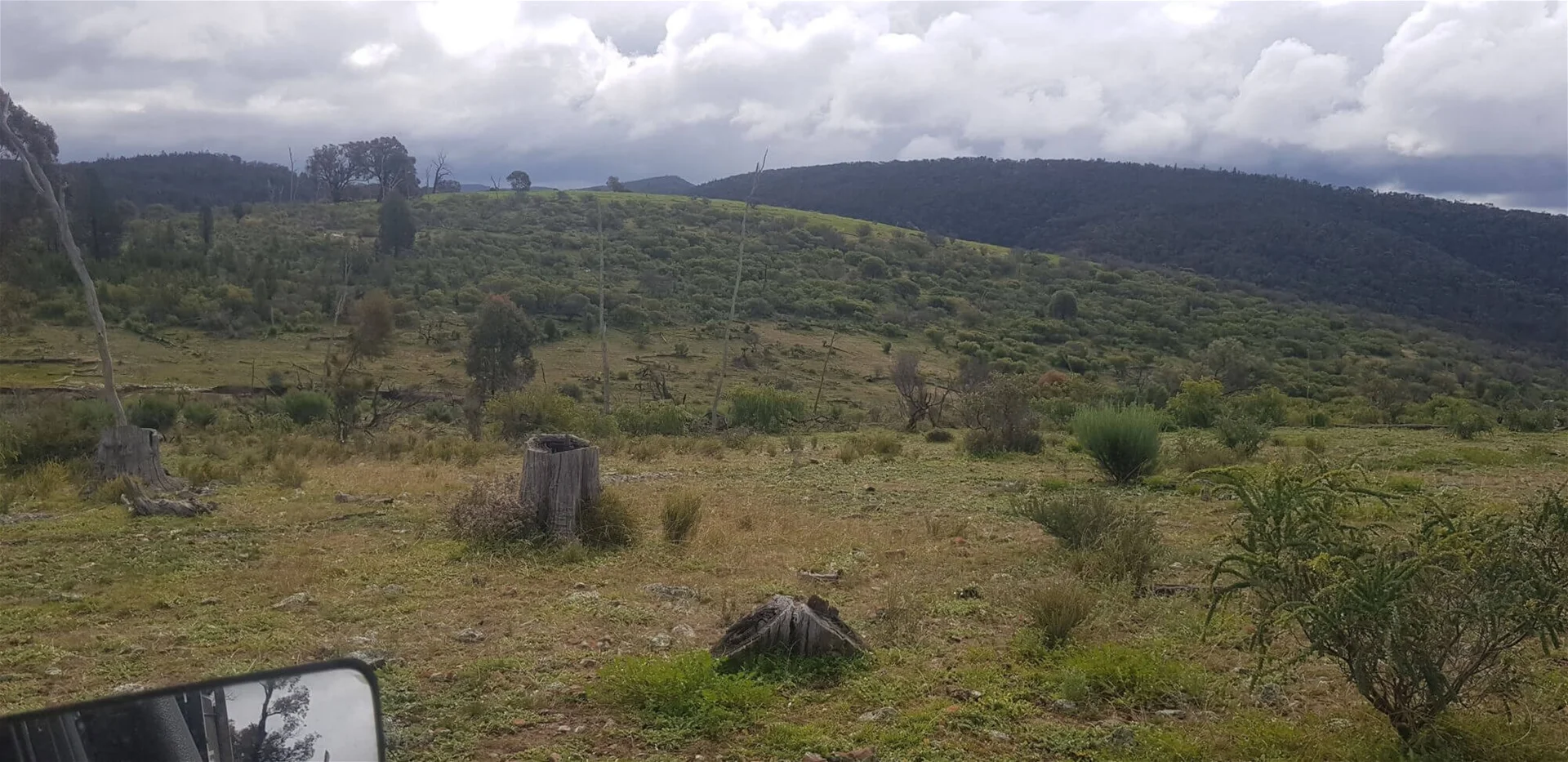 Additional image 7 of 655 Monaghans Rd, Manildra NSW 2865