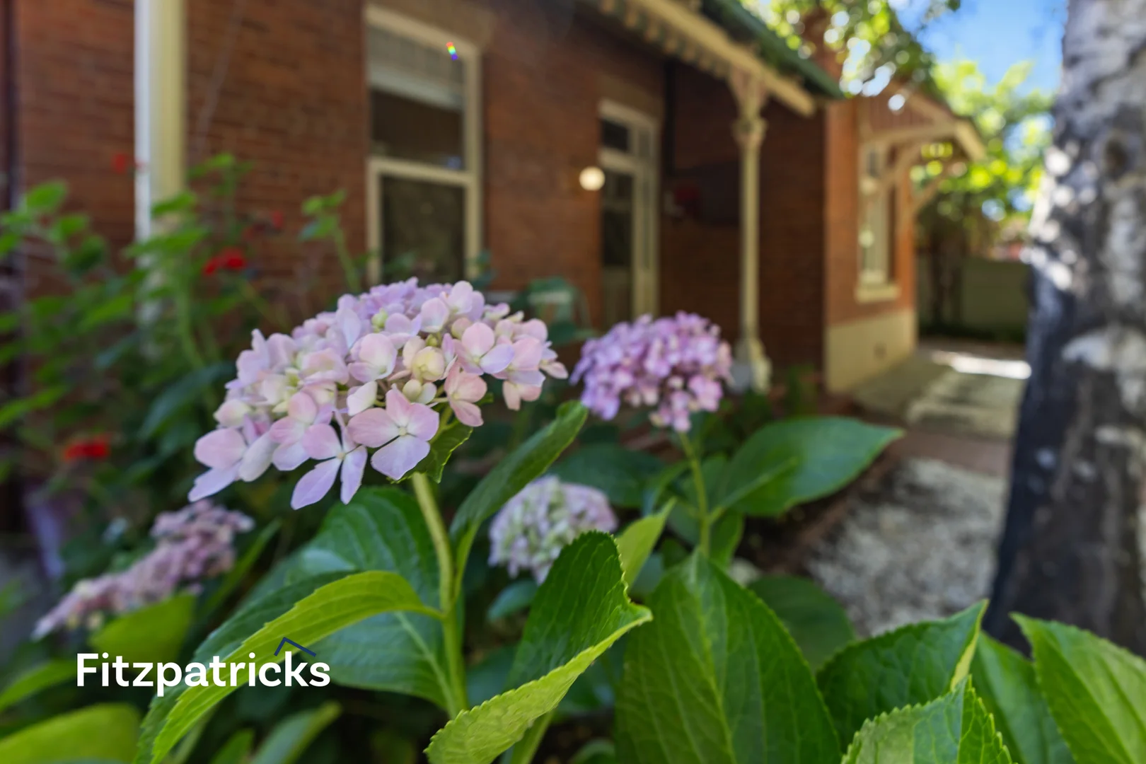 Additional image 19 of 59 Trail Street, Wagga Wagga NSW 2650