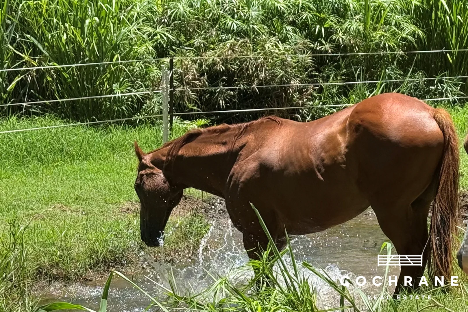 3 Tilba Road, Scrubby Creek QLD 4570 photo 5