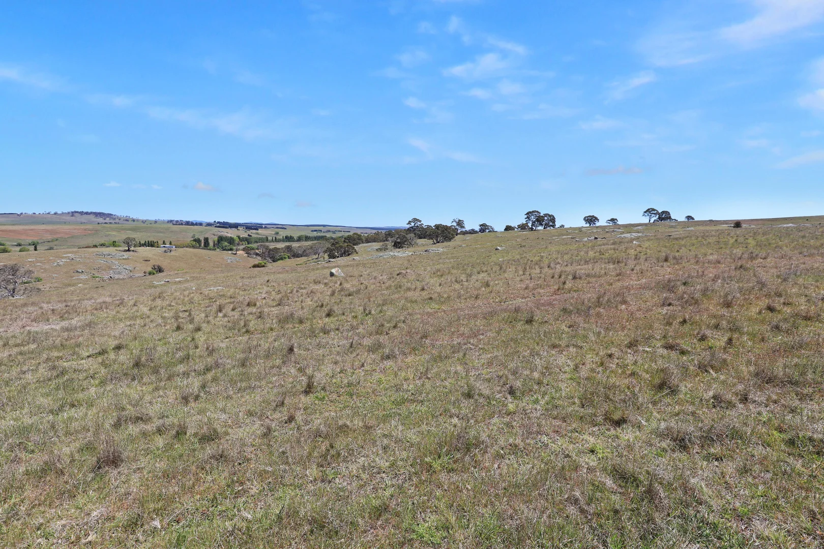 Additional image 13 of Lot 50 Delegate Road, Bombala NSW 2632