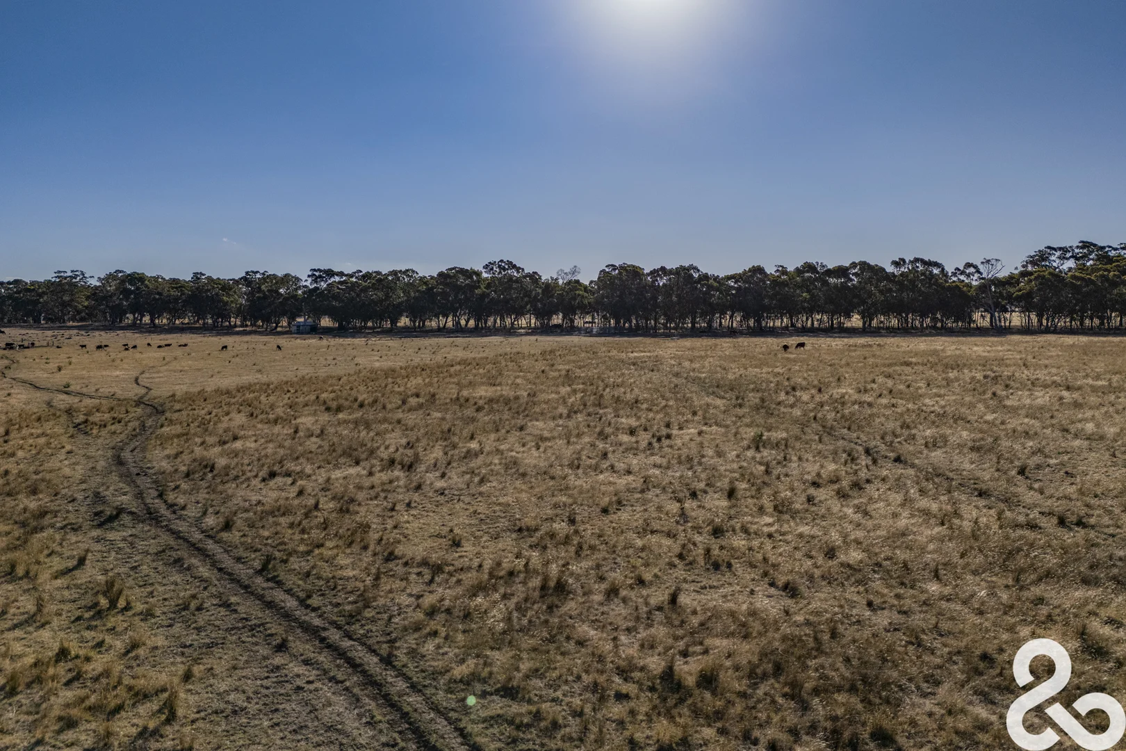 Additional image 3 of 1280D Broadford-Glenaroua Road, Glenaroua VIC 3764