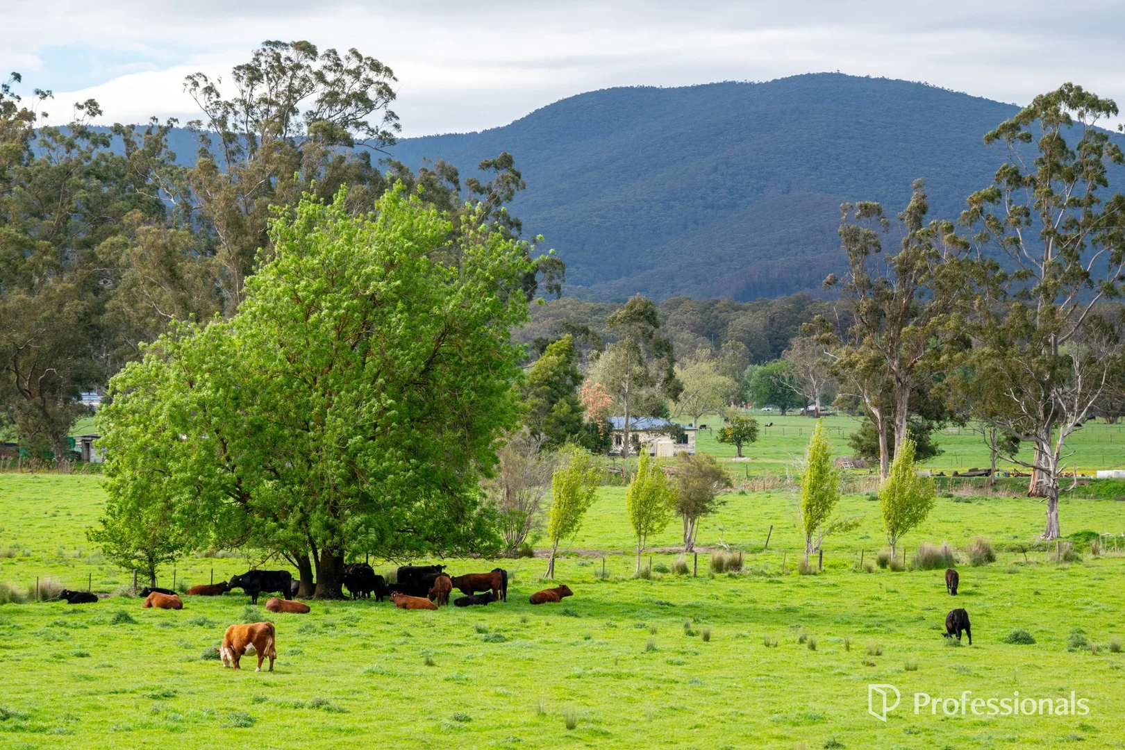 Additional image 34 of 230 Station Road, Wesburn VIC 3799
